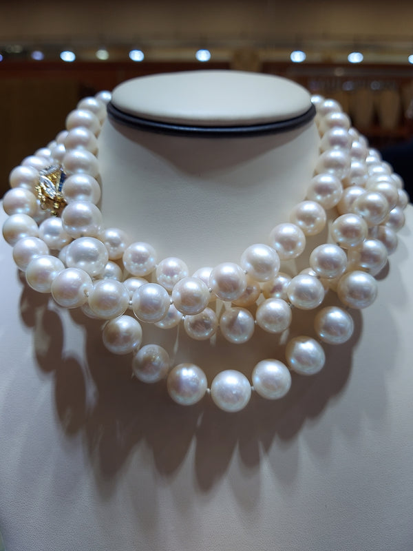 Acoya Pearl Long Necklace  With Sapphire & Diamond Clasp