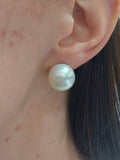 Big Fresh Water Pearl Stud Earrings