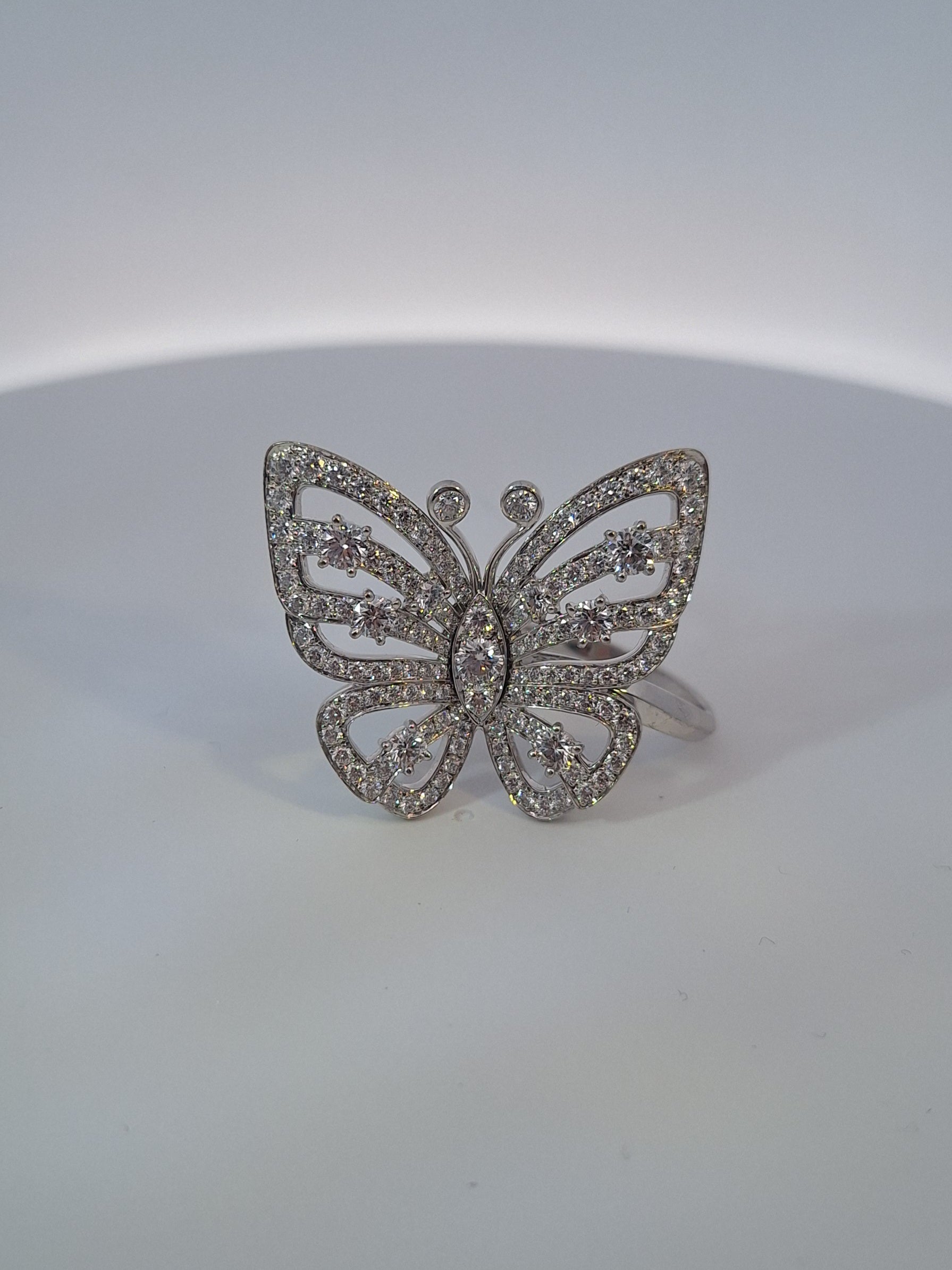 Flying Butterfly Between the Finger Ring
